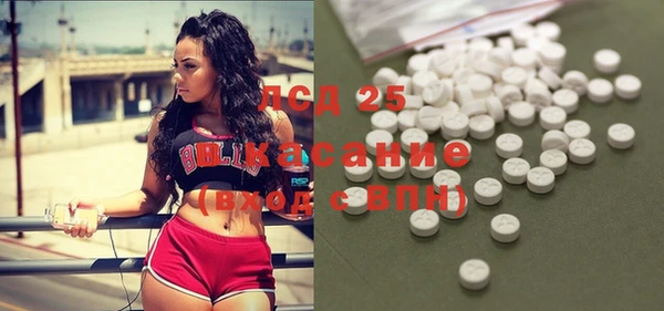 шишки Алзамай