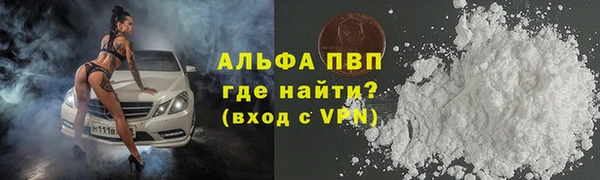 шишки Алзамай
