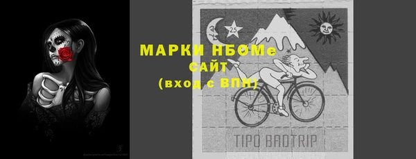 шишки Алзамай