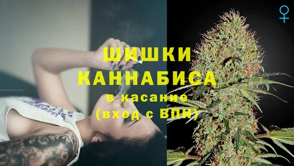 шишки Алзамай