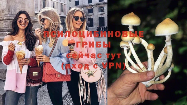 apvp Алексин