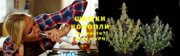 шишки Алзамай
